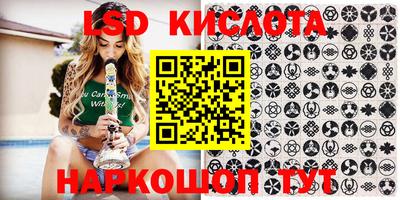 крисы Нальчик