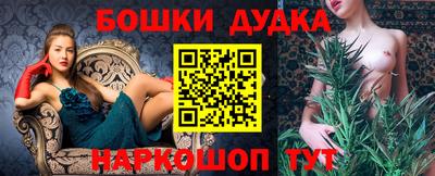 крисы Нальчик