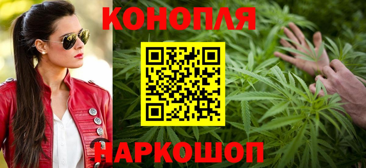 Черкесск  Бошки марихуана ГИДРОПОН  Бошки Шишки Bruce Banner  Каннабис ГИДРОПОН  Вход с VPN 
